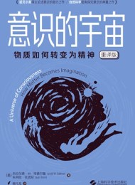 意识的宇宙(重译版)
