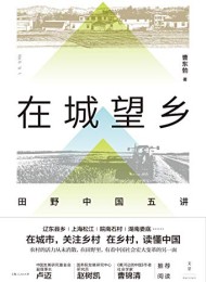 在城望乡