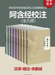 阿含经校注(全九册)