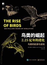 鸟类的崛起