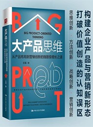 大产品思维