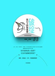 破绽:风口上的独角兽