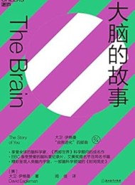 大脑的故事
