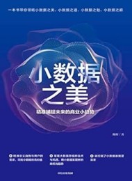 小数据之美