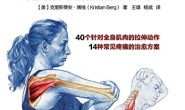 精准拉伸