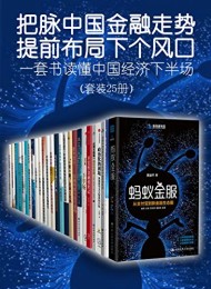 一套书读懂中国经济下半场(套装共25册)