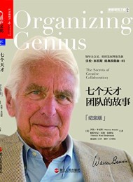 七个天才团队的故事