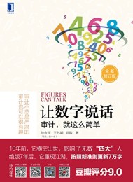 让数字说话:审计,就这么简单