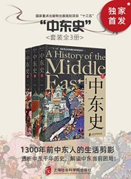 中东史(套装共3册)