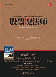 股票魔法师