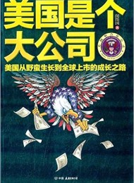 美国是个大公司