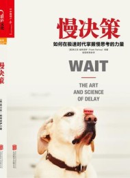 慢决策:如何在极速时代掌握慢思考的力量