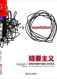 精要主义