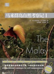 马来群岛自然考察记I