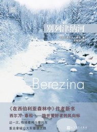 别列津纳河