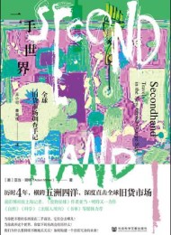 二手世界:全球旧货市场调查手记