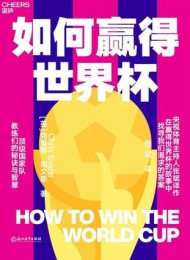 如何赢得世界杯