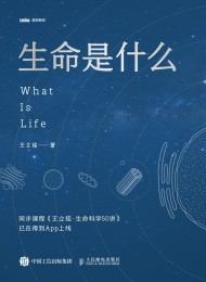 生命是什么