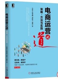 电商运营之道:策略、方法与实践
