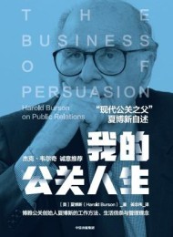 我的公关人生