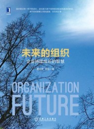 未来的组织:企业持续成长的智慧