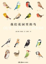我们花园里的鸟