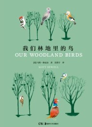 我们林地里的鸟