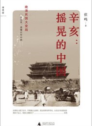 辛亥:摇晃的中国