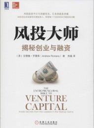 风投大师:揭秘创业与融资