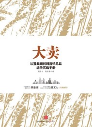 大卖:从置业顾问到营销总监进阶实战手册