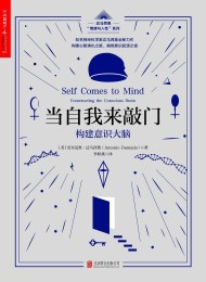 当自我来敲门:构建意识大脑