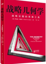 战略几何学:战略议题的思维工具