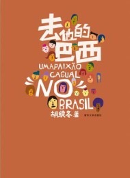 去他的巴西