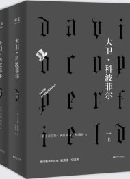 大卫·科波菲尔(果麦经典)