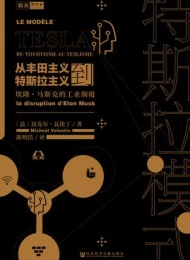 特斯拉模式