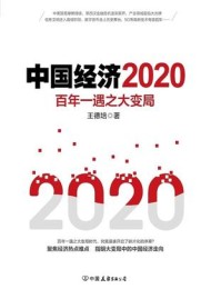 中国经济2020