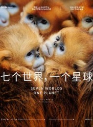 七个世界,一个星球