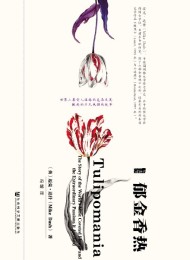 郁金香热