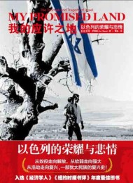 我的应许之地:以色列的荣耀与悲情