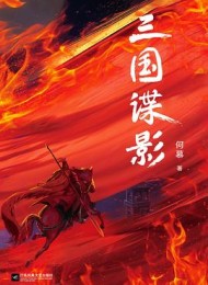 三国谍影(全四册)