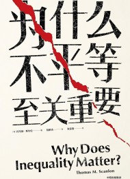 为什么不平等至关重要(见识丛书)