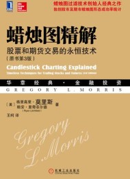 蜡烛图精解(原书第3版)
