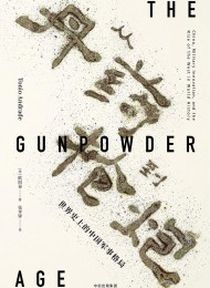 从丹药到枪炮:世界史上的中国军事格局(见识丛书)