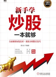 新手学炒股一本就够