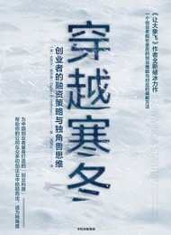 穿越寒冬:创业者的融资策略与独角兽思维