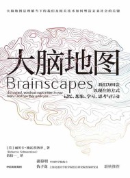 大脑地图