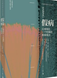 假病:江南地区一个村落的疾病观念