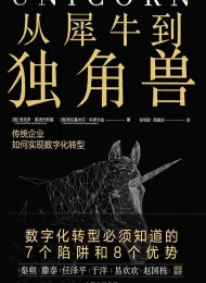 从犀牛到独角兽