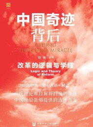 中国奇迹背后