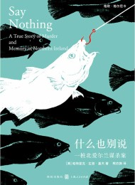 什么也别说:一桩北爱尔兰谋杀案